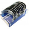 Zetor Main bearing set - 1st regrind - Crankcase 10.000.981 Parts » Agrapoint 