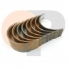 Zetor UR1 Main bearing Parts » Agrapoint