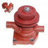 Zetor Water pump with belt 117 mm 71010655 71010635 Parts » Agrapoint 