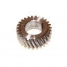 Zetor Manifold gear - Timing gear - Crankshaft 78.003.002 Parts » Agrapoint 