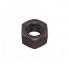 Zetor Nut - M14x1.5 993554 Parts » Agrapoint 