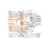 Zetor UR1 Cylinder head gasket - Compressor 72010904 Parts » Agrapoint 