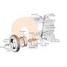 Zetor UR1 Vorderachse Lenkhebel 55113403 Ersatzteile » Agrapoint 